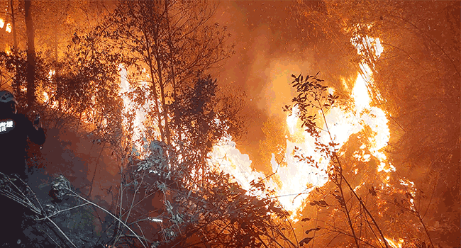 森林防灭火设备